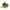 Green Spirit Buket i Mix PE Plastik fra House Nordic | L30xB30xH71 cm