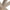 Heaven Sofabord Vild Eg Keramik Glas