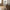 Herslev Lanterne i Antik Messing Glas & Metal fra House Nordic | B12xL12xH60 cm