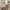 Herslev Lanterne i Antik Messing Look Glas & Metal fra House Nordic | B12xL12xH49 cm