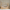 New House Bello Duo Husseng med Midterindgang i Limet Fyrretræ i Flere Farver fra Raw Kids i farven Klar lak – fra Unique Beds, Home & Living
