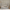 New House Bello Duo Husseng med Midterindgang i Limet Fyrretræ i Flere Farver fra Raw Kids i farven Grå – fra Unique Beds, Home & Living