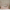 New House Bello Duo Husseng med Midterindgang i Limet Fyrretræ i Flere Farver fra Raw Kids i farven Retro pink – fra Unique Beds, Home & Living