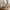 Ibra Lanterner i Sort Metal & Glas fra House Nordic | 2 Lanterner
