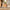 København Snedker Entremøbel med 2 Skuffer i Massiv Bøgetræ og Naturolie fra Raw Furniture | H42,7xB45,7xD42 cm