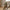 Keli Kurv i Natur Kubo Rattan fra House Nordic | L23xB23xH27 cm
