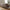 Lido 2,5 Personers Sofa i Brun Polyester med To Puder & Ben i Sort Træ fra House Nordic | B180xL93xH76 cm