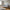 Lido 2,5 Personers Sofa i Lysegrå Polyester med 2 Puder & Ben i Natur Bøgetræ fra House Nordic | B180xL93xH76 cm