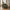 Lido 2,5 Personers Sofa i Olivengrøn Polyester med To Puder & Ben i Sort Træ fra House Nordic | B180xL93xH76 cm