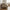 Lido 2,5 Personers Sofa i Sand Polyester med To Puder & Ben i Natur Bøgetræ fra House Nordic | B180xL93xH76 cm