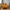 Lido 2,5 Personers Sofa i Sennepsgul Velour med To Puder & Ben i Natur Træ fra House Nordic | B180xL93xH76 cm