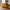 Lido 2,5 Personers Sofa i Sennepsgul Velour med To Puder & Ben i Natur Træ fra House Nordic | B180xL93xH76 cm