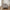 Lido 2,5 Personers Sofa i Stone Polyester med 2 Puder & Ben i Sort Træ fra House Nordic | B180xL93xH76 cm