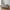 Lido 2,5 Personers Sofa i Stone Polyester med 2 Puder & Ben i Sort Træ fra House Nordic | B180xL93xH76 cm