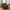 Lido 3 Personers Sofa i Olivengrøn Polyester med To Puder & Ben i Sort Træ fra House Nordic | B210xL93xH76 cm