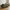 Lido 3 Personers Sofa i Olivengrøn Polyester med To Puder & Ben i Sort Træ fra House Nordic | B210xL93xH76 cm