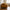 Lido 3 Personers Sofa i Sennepsgul Velour med To Puder & Ben i Natur Træ fra House Nordic | B210xL93xH76 cm