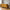 Lido 3 Personers Sofa i Sennepsgul Velour med To Puder & Ben i Natur Træ fra House Nordic | B210xL93xH76 cm