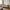 Lido 3 Personers Sofa i Stone Polyester med To Puder & Ben i Sort Bøgetræ fra House Nordic | B210xL93xH76 cm