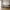 Lido Hjørnesofa Åben Ende Højrevendt i Stone Polyester med Fire Puder & Ben i Sort Træ fra House Nordic | B257xL92-220xH76 cm