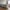 Lido Højrevendt Hjørnesofa med Åben Ende i Lysegrå Polyester med 4 Puder & Ben i Natur Træ fra House Nordic | B257xL220xH76 cm