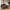 Lido Højrevendt Loungesofa i Brun Polyester med Fire Puder & Ben i Sort Træ fra House Nordic | B290xL170xH76 cm