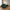 Lido Højrevendt Loungesofa i Mørkegrøn Velour med Fire Puder & Ben i Natur Træ fra House Nordic | B290xL170-92xH76 cm
