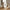 Linz Bordur i Hvid Cement fra House Nordic | B14xL5xH15 cm