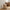 Lodi Pedalspand i Beige Metal med Soft Close fra House Nordic | B17xL21xH23 cm