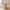 Lodi Pedalspand i Beige Metal med Soft Close fra House Nordic | B17xL21xH23 cm