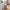 Lodi Pedalspand i Beige Metal med Soft Close fra House Nordic | B17xL21xH23 cm