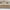 Logan Gulvtæppe i Beige med Kant fra Rugs by Uniquebeds Home &amp; Living | Flere Størrelser