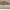 Logan Gulvtæppe i Beige med Kant fra Rugs by Uniquebeds, Home &amp; Living | Flere Størrelser