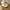 Luxon Spejl i Natur MDF fra House Nordic | B44xL2xH47 cm