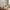 Lyneham Genopladelig Bordlampe i Messing Aluminium fra House Nordic | Ø13xH28,5 cm