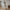 Madrid Spejl i Sort Aluminium & Glas fra House Nordic | B40xL3xH150 cm