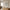 Marbella Billedramme i Natur MDF & Glas fra House Nordic | B50xL70xH1,8 cm
