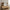 Marbella Ramme Display i Sort/Natur MDF & Glas fra House Nordic | B30xL53xH74 cm