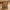 Marbella Ramme i Sort MDF & Glas fra House Nordic | B21xL30xH1,8 cm