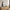 Marbella Ramme i Sort MDF & Glas fra House Nordic | B30xL40xH1,8 cm