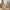 Marbella Ramme i Sort MDF & Glas fra House Nordic | B30xL40xH1,8 cm