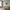 Marbella Ramme i Sort MDF & Glas fra House Nordic | B50xL70xH1,8 cm