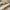 Alpena Skrivebord Eg Melamin Skuffe Beige