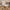 Dean Spisebordsstol Beige Stof Drejefunktion Stel