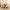 Dean Spisebordsstol Beige Stof Drejefunktion Stel