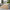Oliver Gulvtæppe i Beige fra Rugs by Uniquebeds, Home &amp; Living | Flere Størrelser