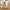 Seaford Reol Grå Melamin Asymmetrisk Opsætning