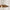 SHAKTI Pendel i Metal med Messing Finish fra Nordal | 79x70x19 cm | Guld