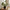 Monstera Kunstig Plante i Grøn PE Plastik fra House Nordic | B26xL26xH41 cm