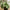 Monstera Kunstig Plante i Grøn PE Plastik fra House Nordic | B26xL26xH41 cm